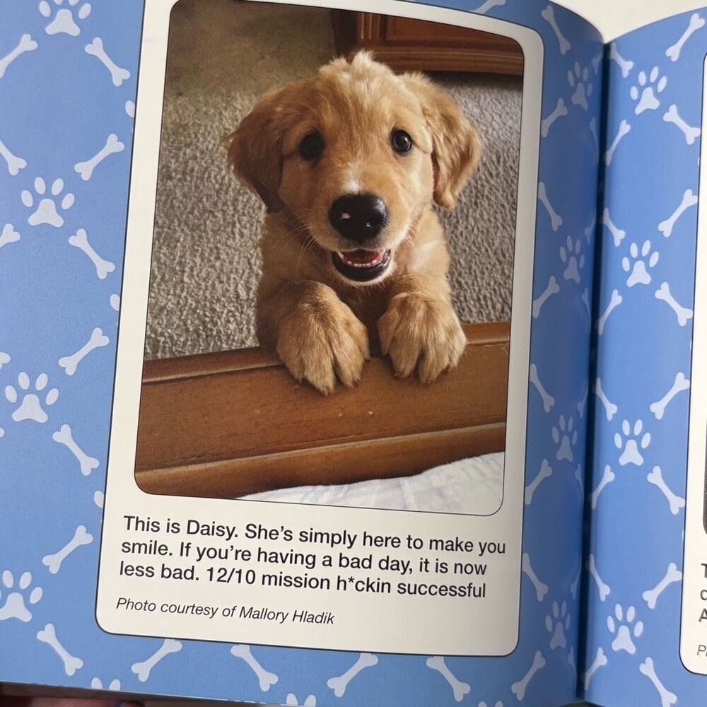 We Rate Dogs: The Most Adorable and Hilarious Pups by Matt Nelson Hardcover - Picture 5 of 5